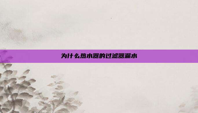 为什么热水器的过滤器漏水