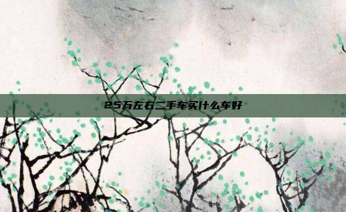 25万左右二手车买什么车好