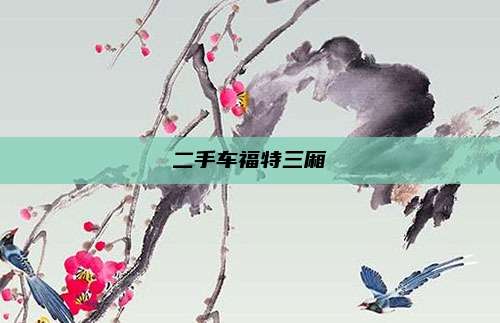 二手车福特三厢