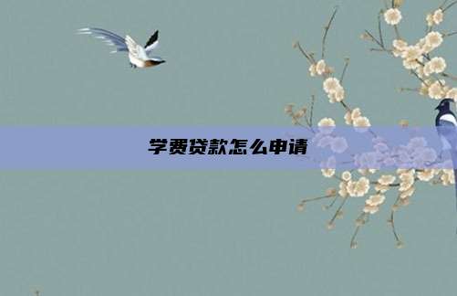 学费贷款怎么申请