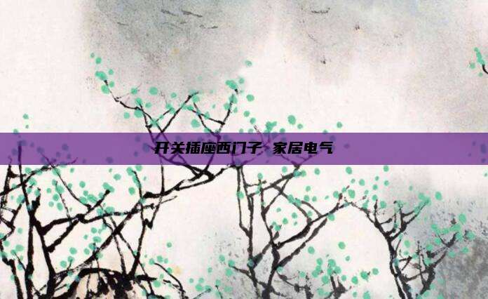 开关插座西门子 家居电气