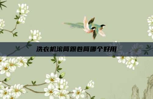 洗衣机滚筒跟卷筒哪个好用