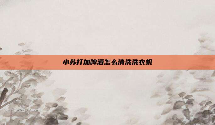 小苏打加啤酒怎么清洗洗衣机