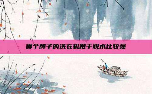 哪个牌子的洗衣机甩干脱水比较强