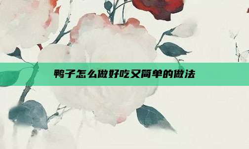 鸭子怎么做好吃又简单的做法