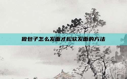 做包子怎么发面才松软发面的方法