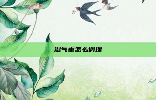 湿气重怎么调理
