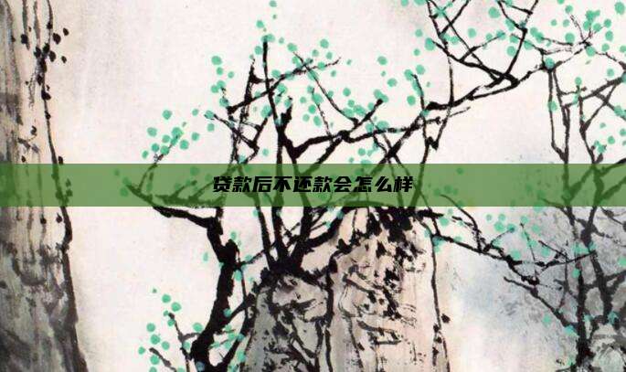 贷款后不还款会怎么样