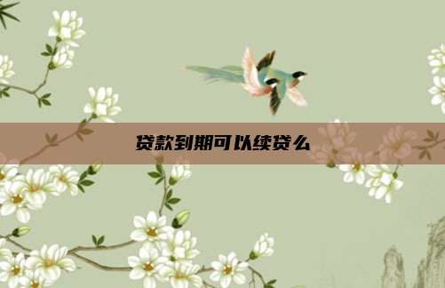 贷款到期可以续贷么