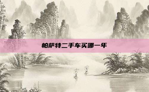 帕萨特二手车买哪一年