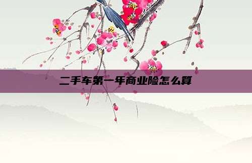 二手车第一年商业险怎么算