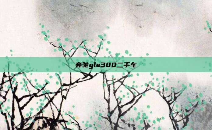 奔驰gle300二手车