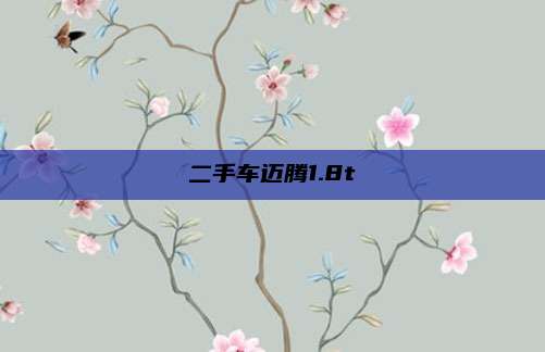 二手车迈腾1.8t