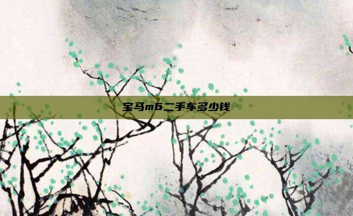 宝马m6二手车多少钱