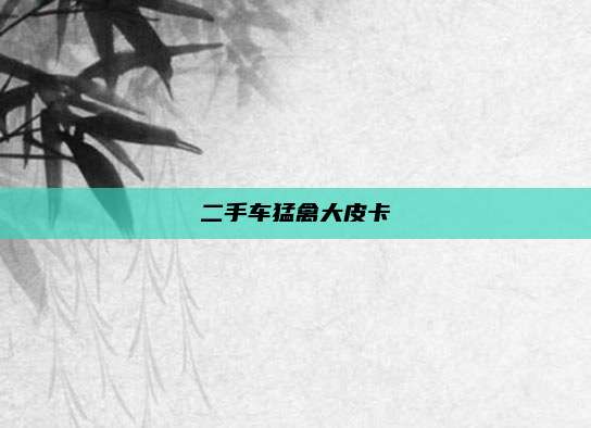 二手车猛禽大皮卡