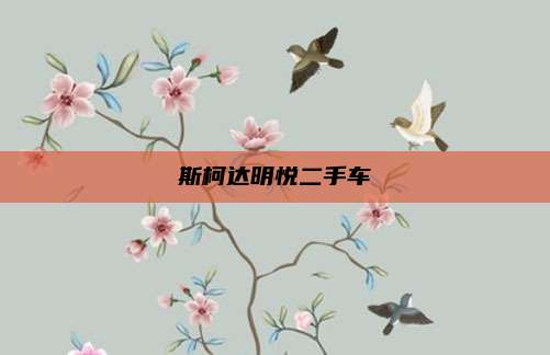 斯柯达明悦二手车