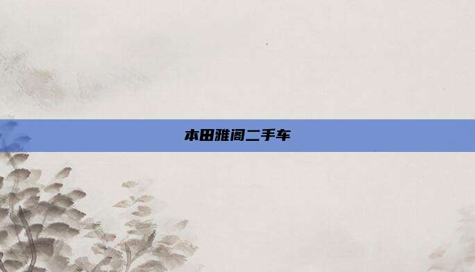 本田雅阁二手车