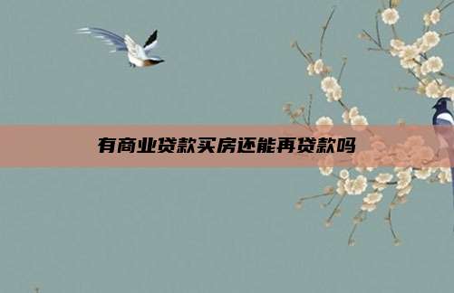 有商业贷款买房还能再贷款吗