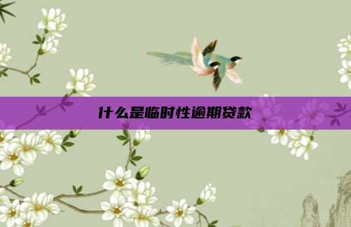 什么是临时性逾期贷款