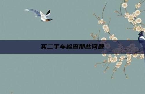 买二手车检查那些问题