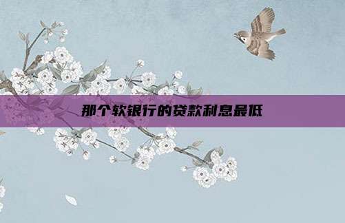 那个软银行的贷款利息最低