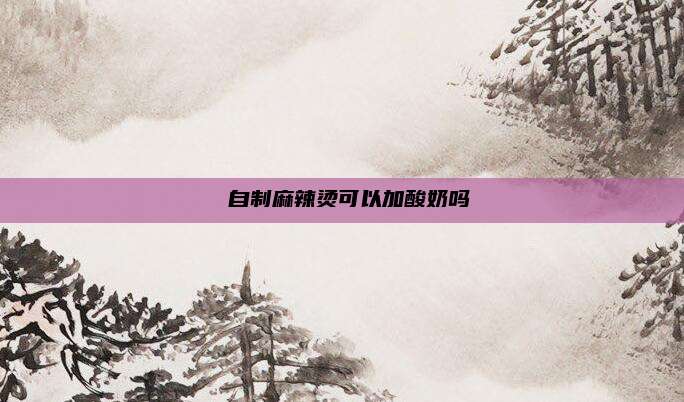  自制麻辣烫可以加酸奶吗