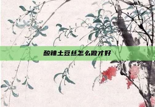 酸辣土豆丝怎么做才好