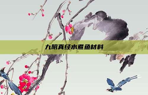 九阴真经水煮鱼材料