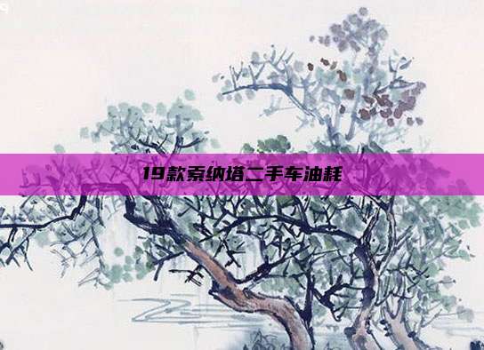 19款索纳塔二手车油耗