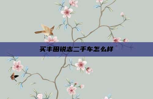 买丰田锐志二手车怎么样