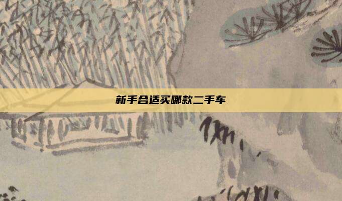 新手合适买哪款二手车