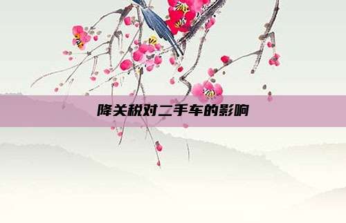 降关税对二手车的影响