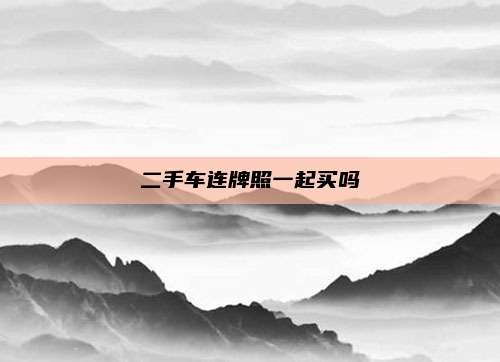 二手车连牌照一起买吗