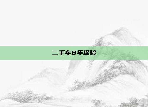 二手车8年保险