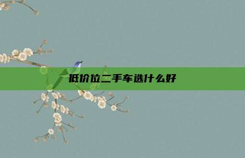 低价位二手车选什么好
