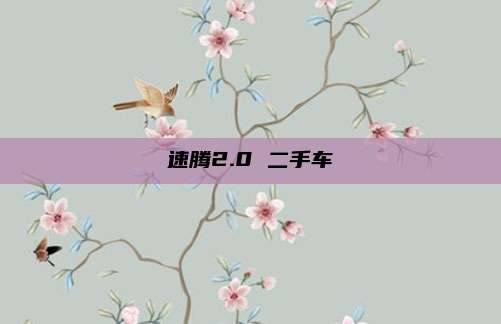 速腾2.0 二手车