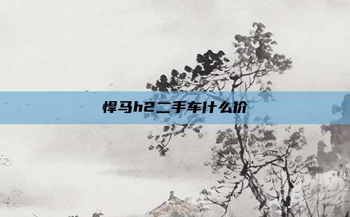 悍马h2二手车什么价