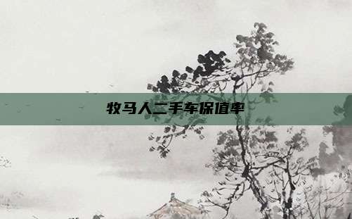 牧马人二手车保值率