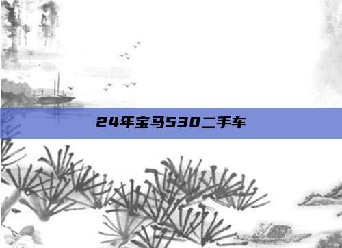 24年宝马530二手车