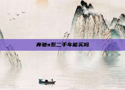 奔驰s系二手车能买吗