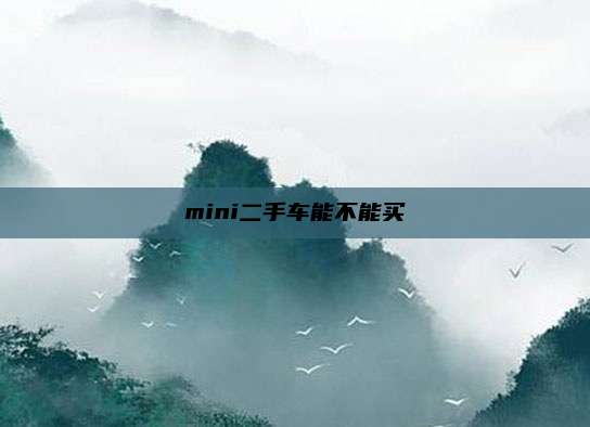 mini二手车能不能买