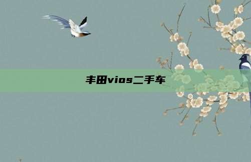 丰田vios二手车