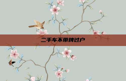 二手车不带牌过户