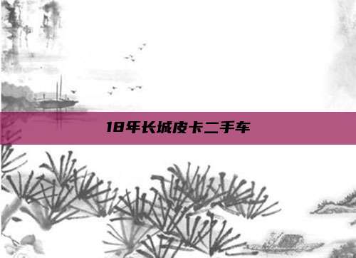18年长城皮卡二手车