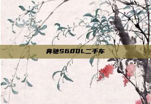 奔驰S600L二手车