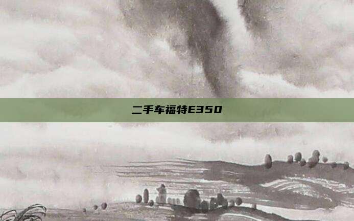 二手车福特E350