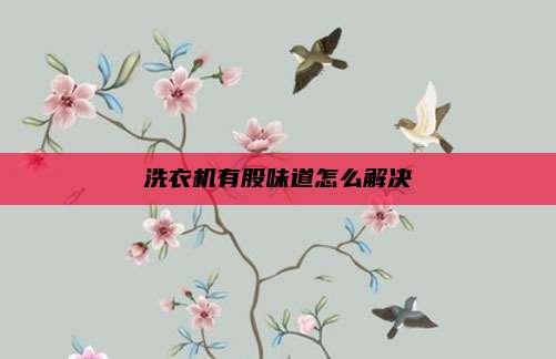 洗衣机有股味道怎么解决