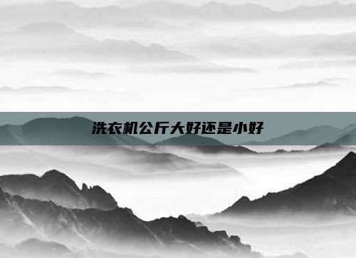 洗衣机公斤大好还是小好