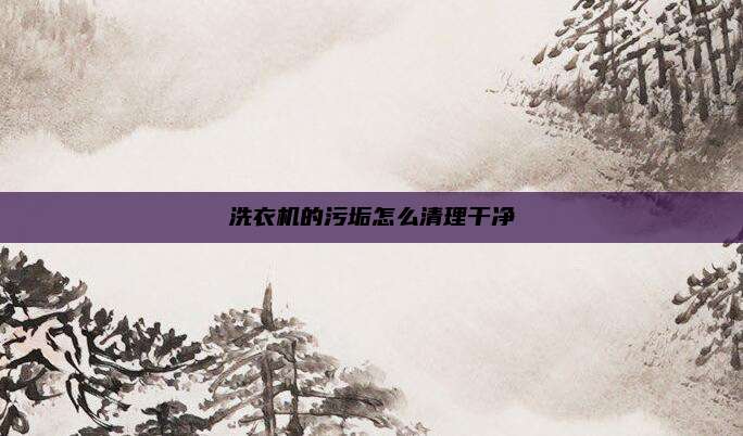 洗衣机的污垢怎么清理干净
