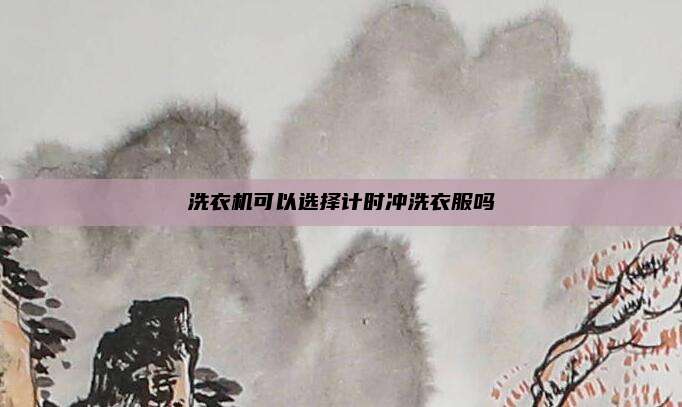 洗衣机可以选择计时冲洗衣服吗